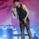 Preview Image 1